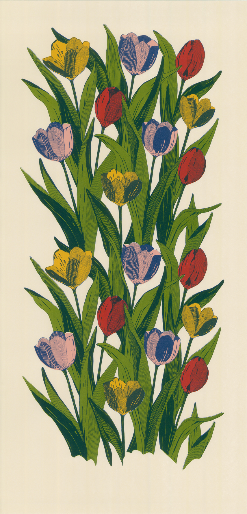 tulips_colour_xsmall